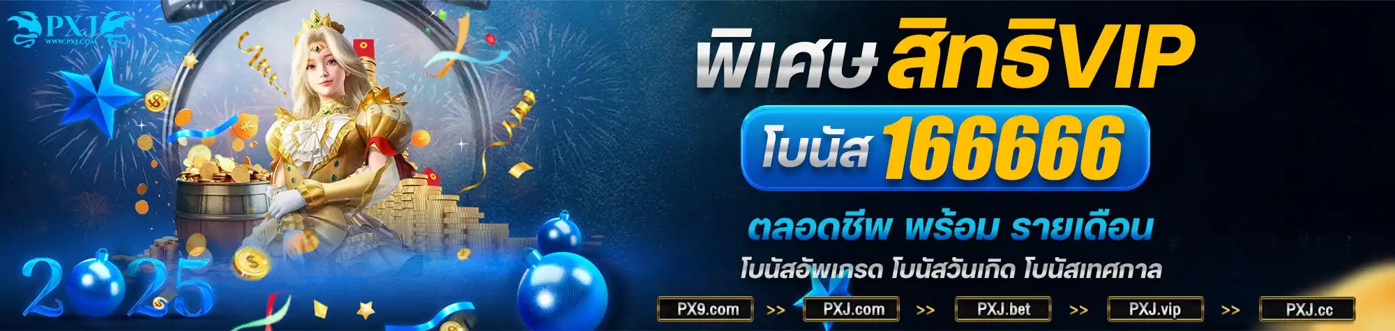 banner20241230123821318