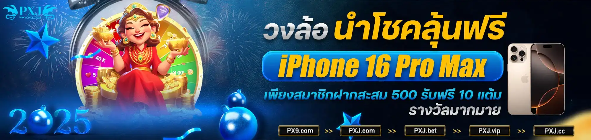 banner20241230123856829